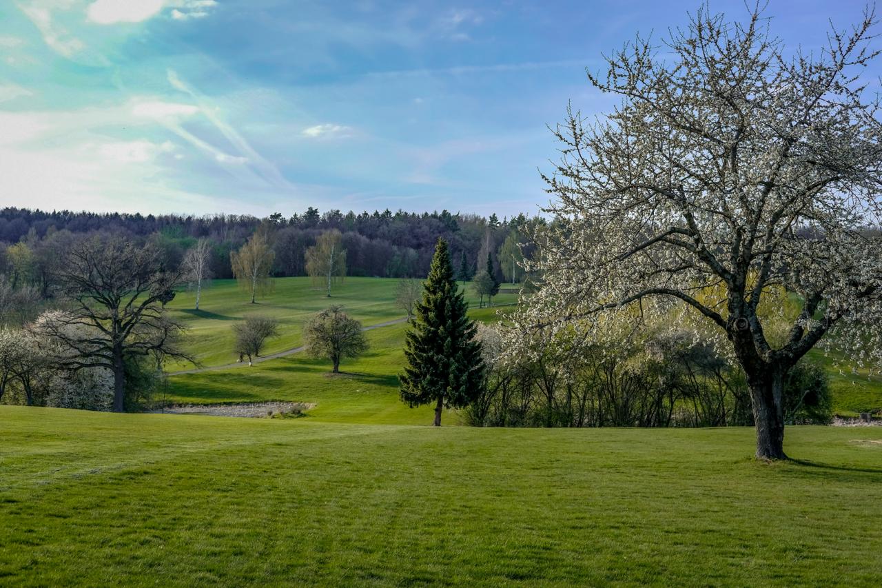 Naturnaher Golfpark Elbflorenz